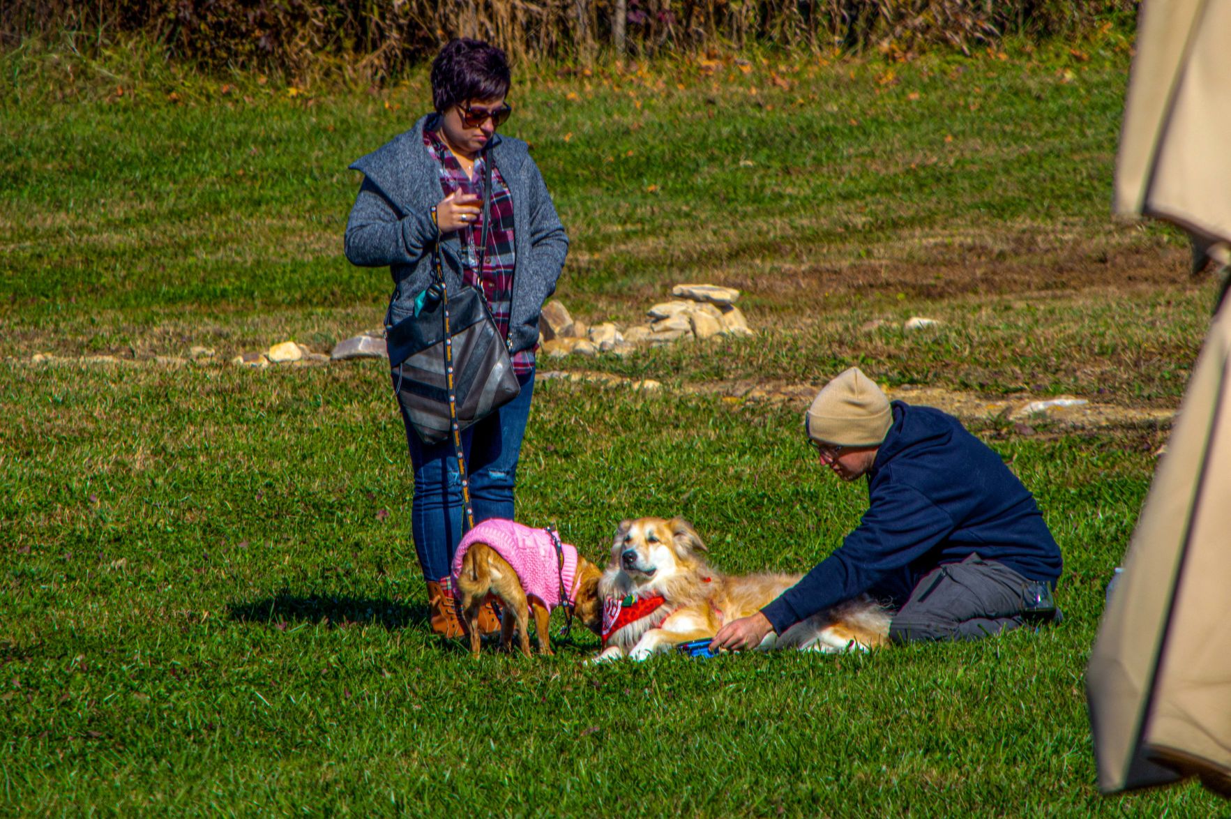 20191109-DSC_9062.jpg